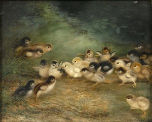 Veintiún pollos y un insecto de Ben Austrian
