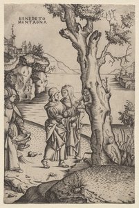 Nacimiento de Adonis (de la serie: Las metamorfosis) de Benedetto Montagna