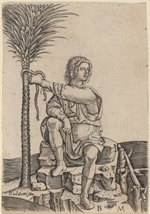 Hombre sentado junto a una palmera