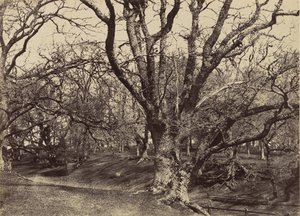 Pepperharrow Park, Surrey, 1852-54 de Benjamin Brecknell Turner
