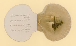 Ilustración para folleto titulado Conchas marinas de Benjamin D. Sigmund