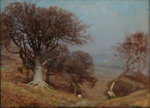 Hayedos en los Quantocks de Benjamin Haughton