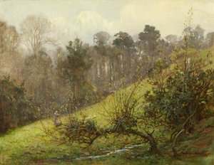 Gansos y gansitos de Benjamin Haughton