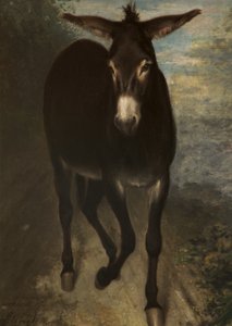 Un Asno Siciliano