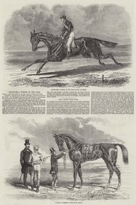 Caballos de Carrera Ganadores