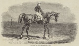 Woolwich, el ganador del Vaso del Emperador de Benjamin Herring