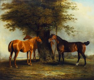 Cazadores en el pasto, 1801