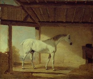 El caballo del conde de Coventry de Benjamin Marshall