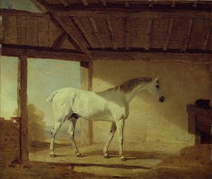 El caballo del Conde de Coventry, 1805 de Benjamin Marshall