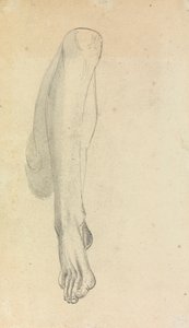 Estudio anatómico de una pierna de Benjamin Robert Haydon