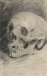 Estudio de un cráneo de Benjamin Robert Haydon