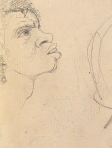Estudio del rostro de una mujer étnica, de perfil, con pendientes