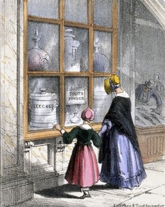 Sanguijuelas y polvo de dientes, de Crustáceos y reptiles en Ilustraciones gráficas de animales - Mostrando su utilidad para el hombre en su empleo durante la vida y usos después de la muerte, c.1845