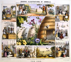 La abeja, c. 1850