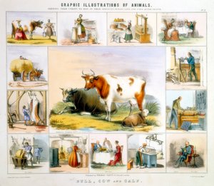 La vaca de Benjamin Waterhouse Hawkins