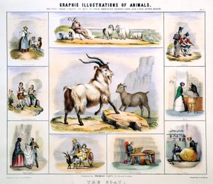 La cabra, c. 1850