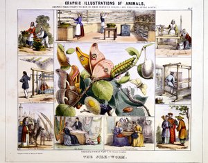 El gusano de seda, c1850