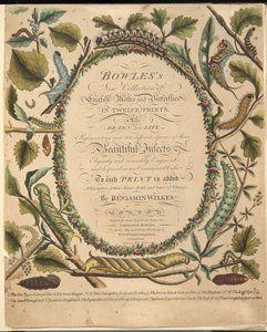 Frontispicio, de Una Rara Representación de Mariposas y Polillas, pub. 1764