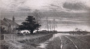 Al anochecer será luz, Anuario de Bibby de Benjamin Williams (after) Leader
