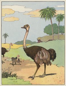 Avestruz de Benjamin Rabier