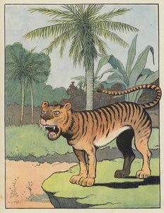 Tigre de Benjamin Rabier