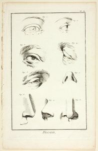 Diseño: Anatomía facial de la Encyclopédie de Benoit Louis Prevost