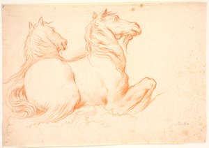 Dos caballitos de mar