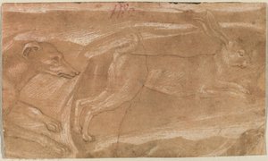 Un sabueso persiguiendo una liebre de Benozzo Gozzoli