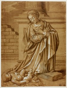 Madonna y Niño de Benvenuto Tisi da Garofalo