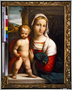 Virgen con el Niño (panel) de Benvenuto Tisi da Garofalo