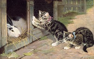 Postal felina (litografía en color) de Bernard Cobbe