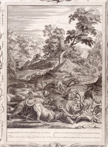 Acteón convertido en ciervo y devorado por sus perros, 1731 de Bernard Picart