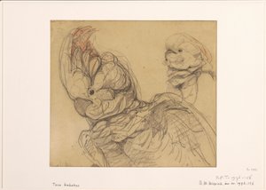 Dos cacatúas, de medio cuerpo de Bernard Willem Wierink