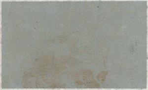 Parte de la cabeza de un hombre de Bernardino Lanino (possibly)