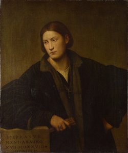 Retrato de Stefano Nani, 1528 de Bernardino Licinio