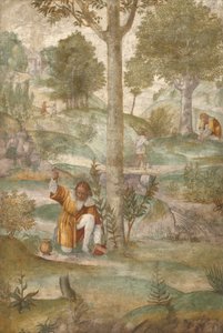 Céfalo ocultando las joyas de Bernardino Luini
