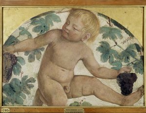 Putti cosechando - Putto bajo una pérgola, c.1514 (detalle)