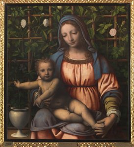 Madonna y Niño (Madonna del Roseto) de Bernardino Luini