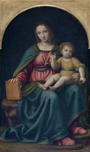 Madonna y Niño de Bernardino Luini
