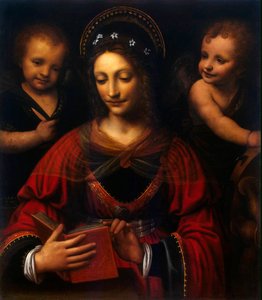 Santa Catalina, 1527-1531 de Bernardino Luini