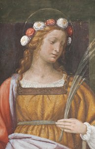 Santa Rosa (detalle)