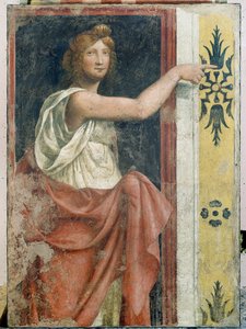 Sibila de Bernardino Luini