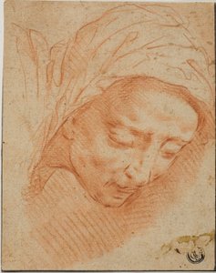 Cabeza de mujer de Bernardino Poccetti