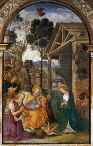 Natividad con San Jerónimo, fresco juvenil por Bernardino Betti conocido como Il Pinturicchio de Bernardino di Betto Pinturicchio