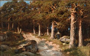 Mujer en el bosque