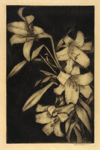 Pascua, o Madonna, Lirios de Bertha E. Jaques
