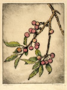Cerezas de mayo