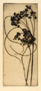 Woolgrass de Bertha E. Jaques