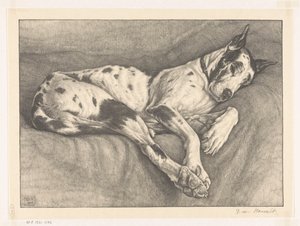 Perro dormido de Bertha van Hasselt (signed by artist)