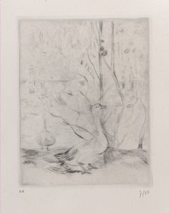 Ganso, 1889